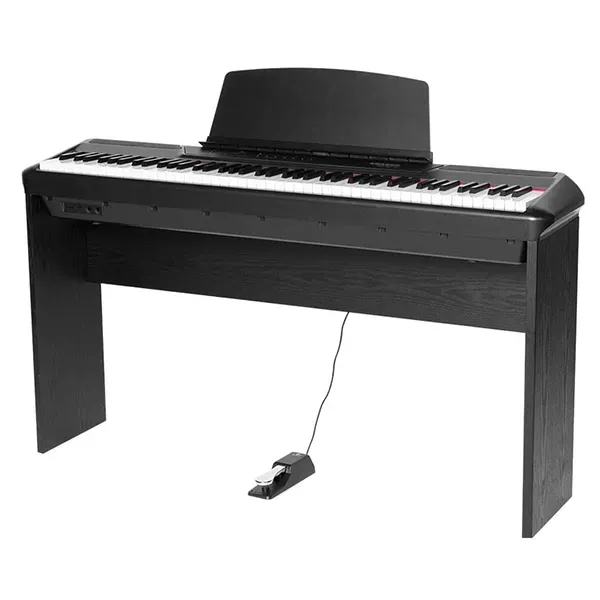 Music City – Tổng Kho Piano, Guitar, Organ | Dịch Vụ Giáo Dục Âm Nhạc