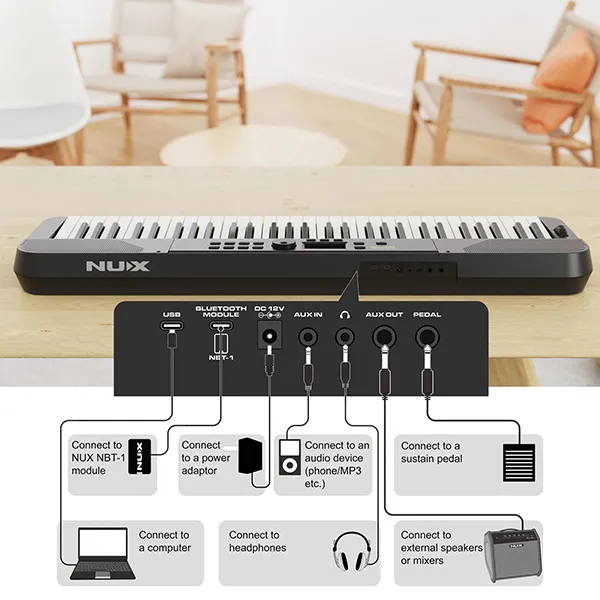 Music City – Tổng Kho Piano, Guitar, Organ | Dịch Vụ Giáo Dục Âm Nhạc
