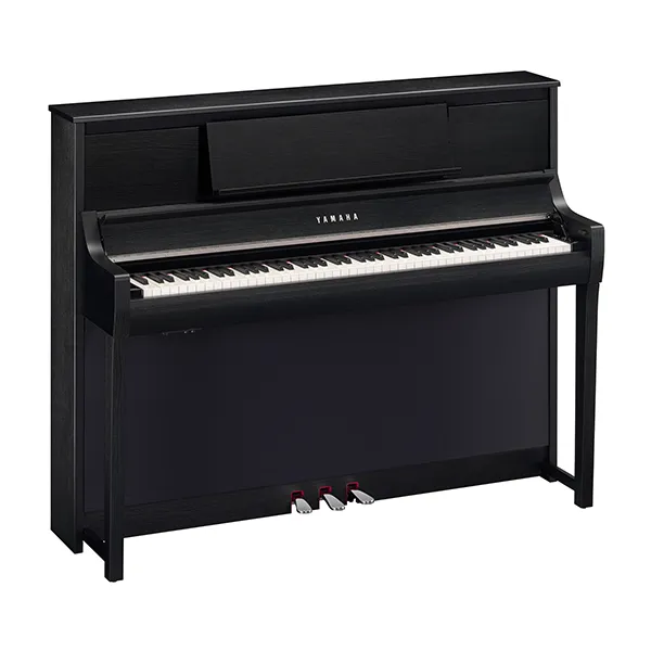 Music City – Tổng Kho Piano, Guitar, Organ | Dịch Vụ Giáo Dục Âm Nhạc