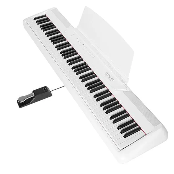 Music City – Tổng Kho Piano, Guitar, Organ | Dịch Vụ Giáo Dục Âm Nhạc