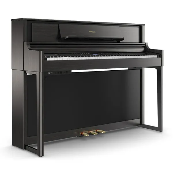 Music City – Tổng Kho Piano, Guitar, Organ | Dịch Vụ Giáo Dục Âm Nhạc