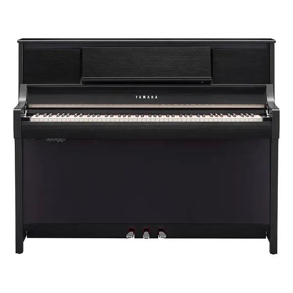 Music City – Tổng Kho Piano, Guitar, Organ | Dịch Vụ Giáo Dục Âm Nhạc