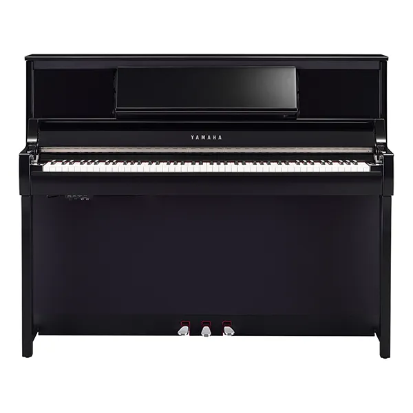 Music City – Tổng Kho Piano, Guitar, Organ | Dịch Vụ Giáo Dục Âm Nhạc