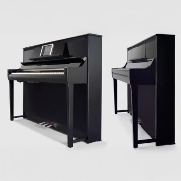 Music City – Tổng Kho Piano, Guitar, Organ | Dịch Vụ Giáo Dục Âm Nhạc