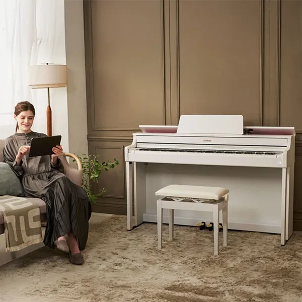 Music City – Tổng Kho Piano, Guitar, Organ | Dịch Vụ Giáo Dục Âm Nhạc