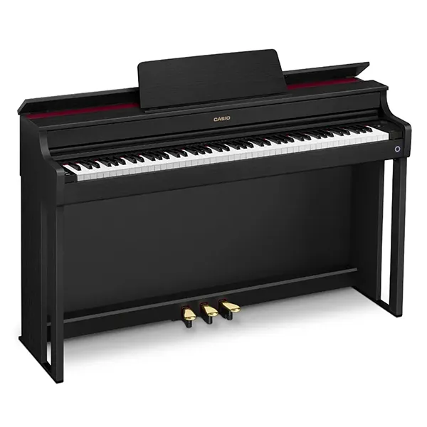 Music City – Tổng Kho Piano, Guitar, Organ | Dịch Vụ Giáo Dục Âm Nhạc