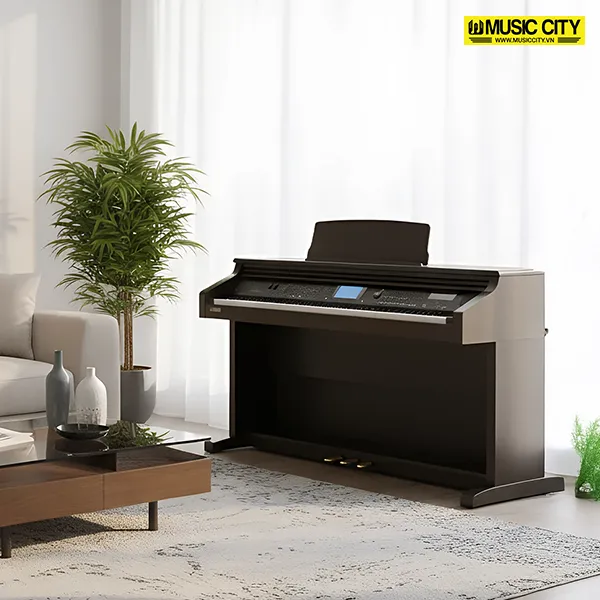 Music City – Tổng Kho Piano, Guitar, Organ | Dịch Vụ Giáo Dục Âm Nhạc