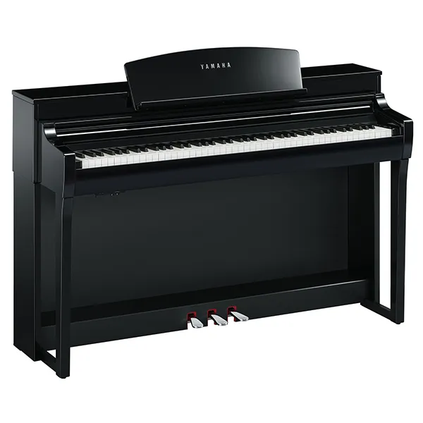 Music City – Tổng Kho Piano, Guitar, Organ | Dịch Vụ Giáo Dục Âm Nhạc