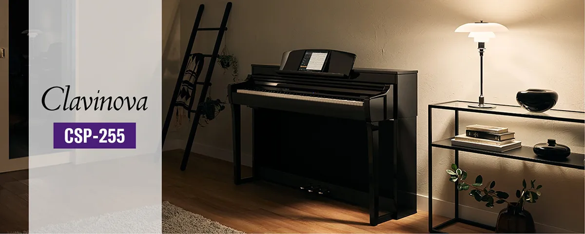 Music City – Tổng Kho Piano, Guitar, Organ | Dịch Vụ Giáo Dục Âm Nhạc