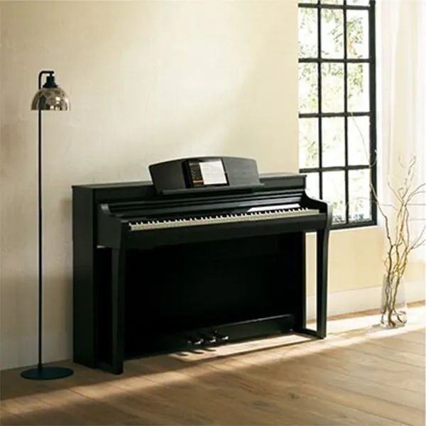 Music City – Tổng Kho Piano, Guitar, Organ | Dịch Vụ Giáo Dục Âm Nhạc