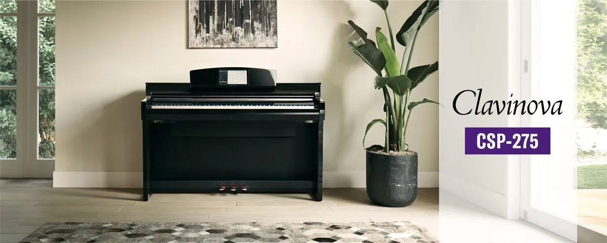 Music City – Tổng Kho Piano, Guitar, Organ | Dịch Vụ Giáo Dục Âm Nhạc