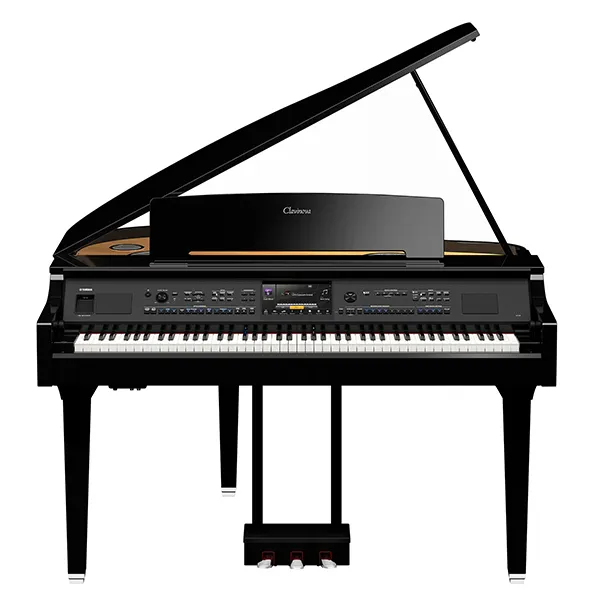 Music City – Tổng Kho Piano, Guitar, Organ | Dịch Vụ Giáo Dục Âm Nhạc