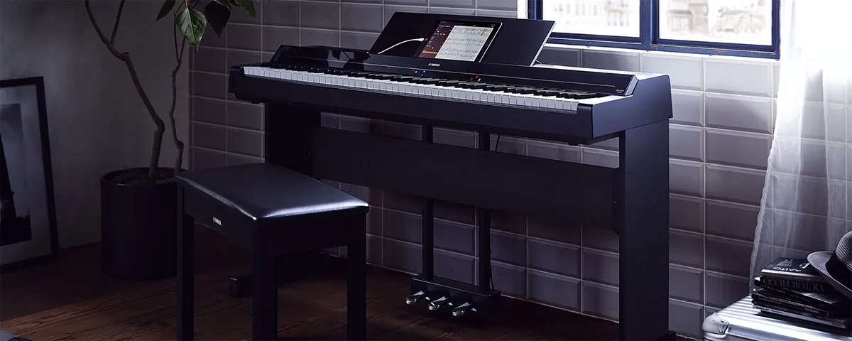 Music City – Tổng Kho Piano, Guitar, Organ | Dịch Vụ Giáo Dục Âm Nhạc