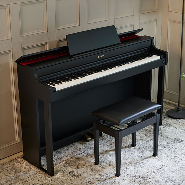 Music City – Tổng Kho Piano, Guitar, Organ | Dịch Vụ Giáo Dục Âm Nhạc
