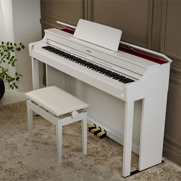 Music City – Tổng Kho Piano, Guitar, Organ | Dịch Vụ Giáo Dục Âm Nhạc