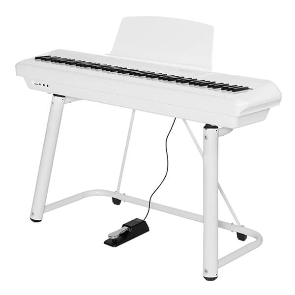 Music City – Tổng Kho Piano, Guitar, Organ | Dịch Vụ Giáo Dục Âm Nhạc