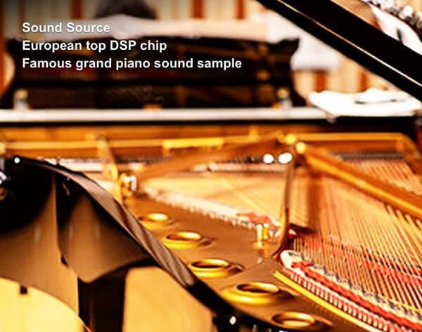 Music City – Tổng Kho Piano, Guitar, Organ | Dịch Vụ Giáo Dục Âm Nhạc