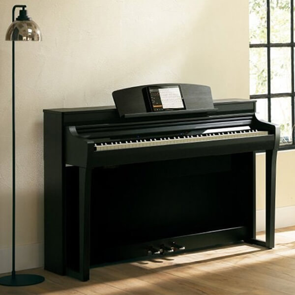 Music City – Tổng Kho Piano, Guitar, Organ | Dịch Vụ Giáo Dục Âm Nhạc