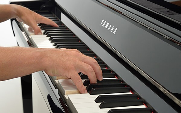 Music City – Tổng Kho Piano, Guitar, Organ | Dịch Vụ Giáo Dục Âm Nhạc