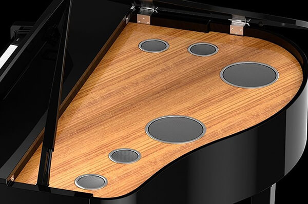 Music City – Tổng Kho Piano, Guitar, Organ | Dịch Vụ Giáo Dục Âm Nhạc