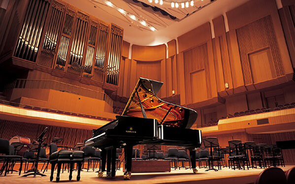 Music City – Tổng Kho Piano, Guitar, Organ | Dịch Vụ Giáo Dục Âm Nhạc