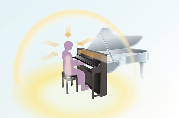 Music City – Tổng Kho Piano, Guitar, Organ | Dịch Vụ Giáo Dục Âm Nhạc