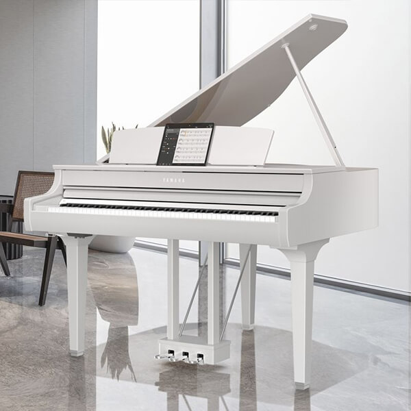 Music City – Tổng Kho Piano, Guitar, Organ | Dịch Vụ Giáo Dục Âm Nhạc