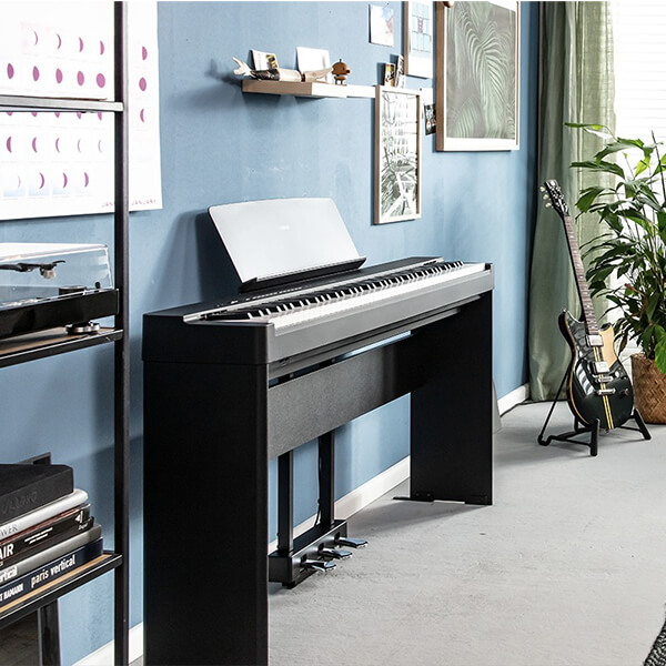 Music City – Tổng Kho Piano, Guitar, Organ | Dịch Vụ Giáo Dục Âm Nhạc