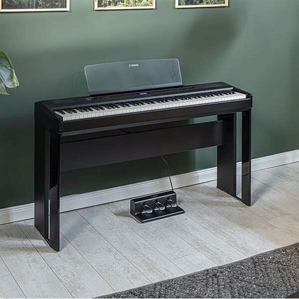 Music City – Tổng Kho Piano, Guitar, Organ | Dịch Vụ Giáo Dục Âm Nhạc