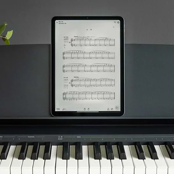 Music City – Tổng Kho Piano, Guitar, Organ | Dịch Vụ Giáo Dục Âm Nhạc