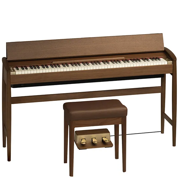 Music City – Tổng Kho Piano, Guitar, Organ | Dịch Vụ Giáo Dục Âm Nhạc