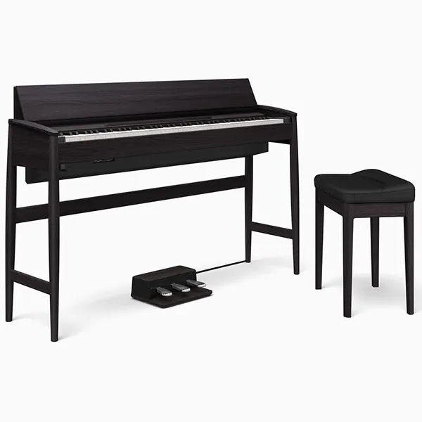 Music City – Tổng Kho Piano, Guitar, Organ | Dịch Vụ Giáo Dục Âm Nhạc