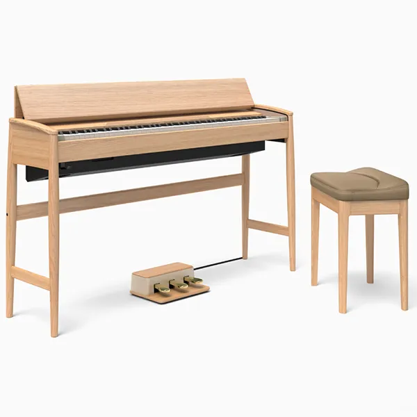 Music City – Tổng Kho Piano, Guitar, Organ | Dịch Vụ Giáo Dục Âm Nhạc