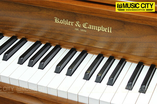 Music City – Tổng Kho Piano, Guitar, Organ | Dịch Vụ Giáo Dục Âm Nhạc