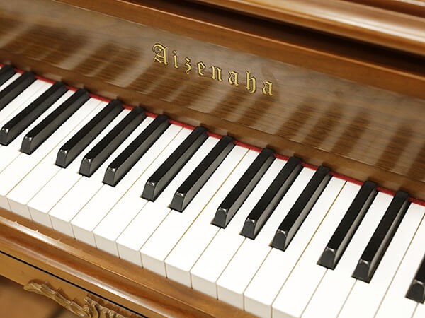 Music City – Tổng Kho Piano, Guitar, Organ | Dịch Vụ Giáo Dục Âm Nhạc