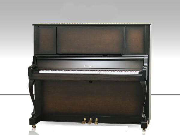 Music City – Tổng Kho Piano, Guitar, Organ | Dịch Vụ Giáo Dục Âm Nhạc