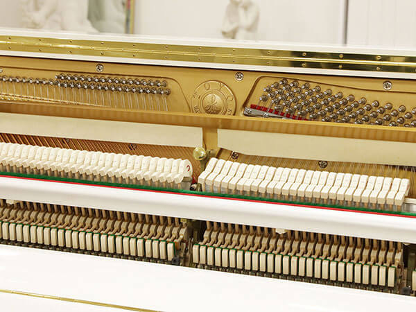 Hình ảnh Đàn Piano Apollo A116LE tại Music City - Ảnh musiccity.vn
