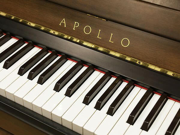 Music City – Tổng Kho Piano, Guitar, Organ | Dịch Vụ Giáo Dục Âm Nhạc