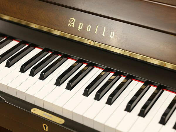Music City – Tổng Kho Piano, Guitar, Organ | Dịch Vụ Giáo Dục Âm Nhạc