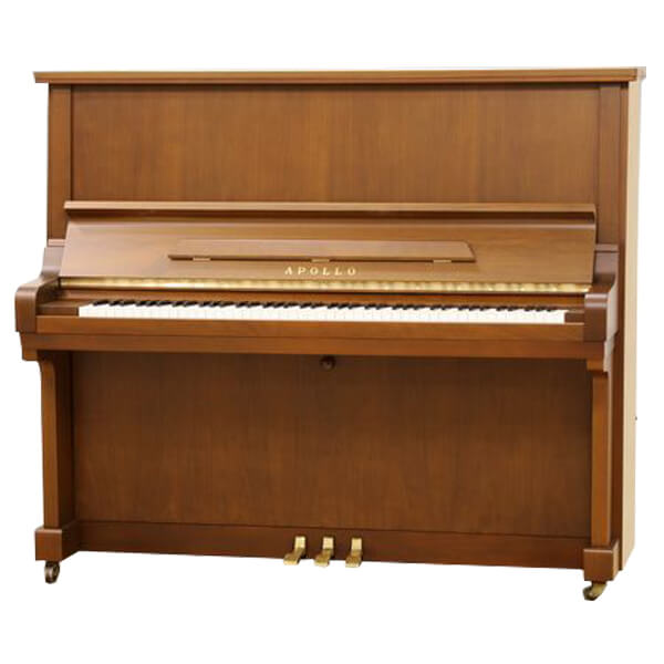 Music City – Tổng Kho Piano, Guitar, Organ | Dịch Vụ Giáo Dục Âm Nhạc