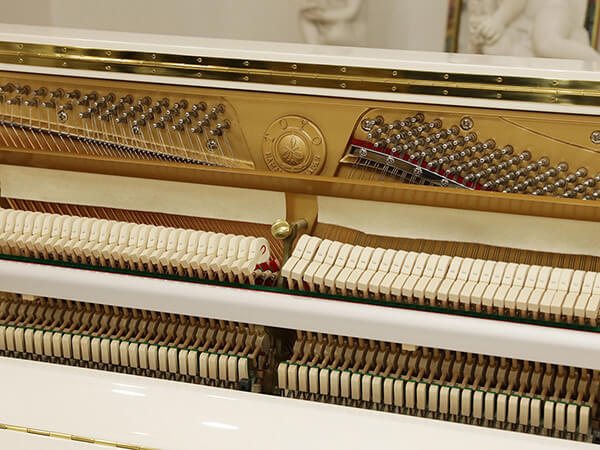 Hình ảnh Đàn Piano Apollo WA118I tại Music City - Ảnh musiccity.vn Hình ảnh Đàn Piano Apollo WA118I tại Music City - Ảnh musiccity.vn