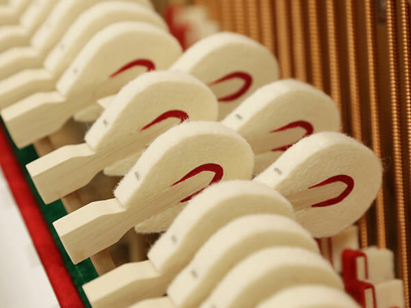 Music City – Tổng Kho Piano, Guitar, Organ | Dịch Vụ Giáo Dục Âm Nhạc