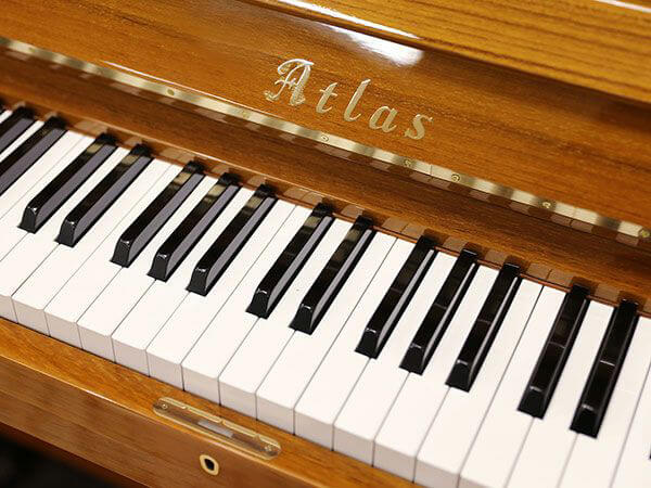 Music City – Tổng Kho Piano, Guitar, Organ | Dịch Vụ Giáo Dục Âm Nhạc