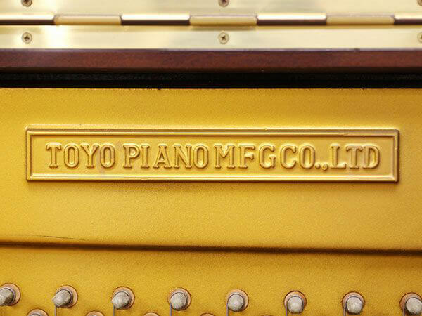 Music City – Tổng Kho Piano, Guitar, Organ | Dịch Vụ Giáo Dục Âm Nhạc