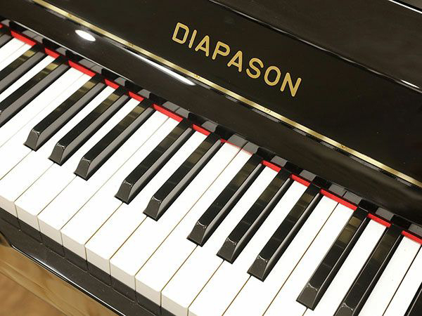 Music City – Tổng Kho Piano, Guitar, Organ | Dịch Vụ Giáo Dục Âm Nhạc