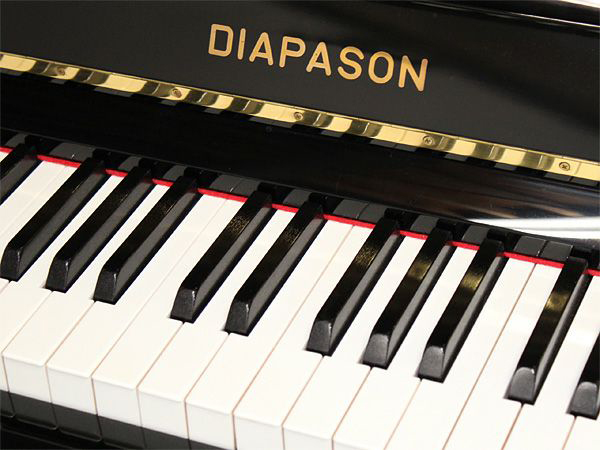 Music City – Tổng Kho Piano, Guitar, Organ | Dịch Vụ Giáo Dục Âm Nhạc