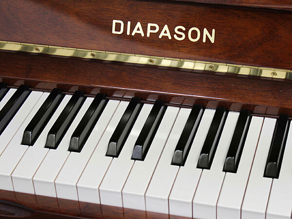 Music City – Tổng Kho Piano, Guitar, Organ | Dịch Vụ Giáo Dục Âm Nhạc
