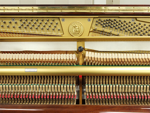 Music City – Tổng Kho Piano, Guitar, Organ | Dịch Vụ Giáo Dục Âm Nhạc