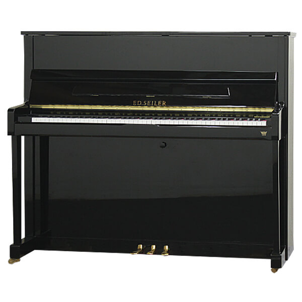 Music City – Tổng Kho Piano, Guitar, Organ | Dịch Vụ Giáo Dục Âm Nhạc