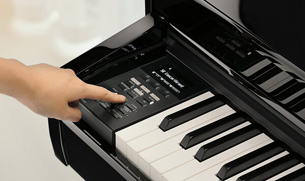 Music City – Tổng Kho Piano, Guitar, Organ | Dịch Vụ Giáo Dục Âm Nhạc